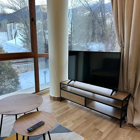 Pine Tree - Charming Appartement