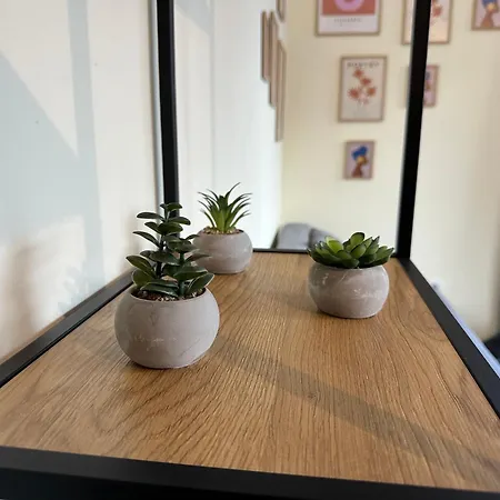 Pine Tree - Charming Appartement