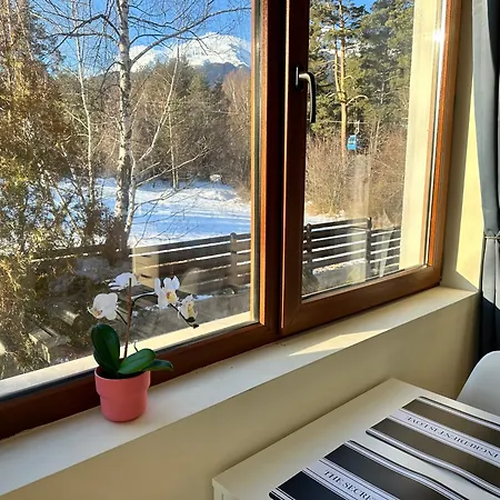 Pine Tree - Charming *