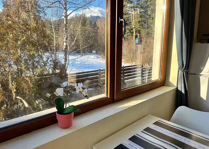 Pine Tree - Charming *