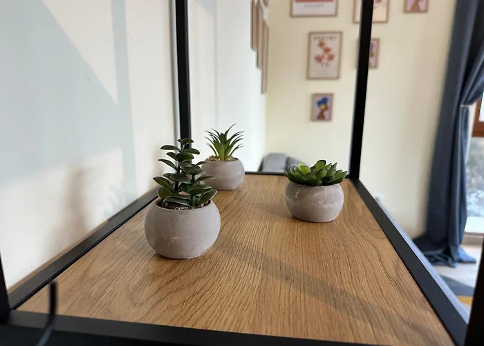 Pine Tree - Charming Appartement